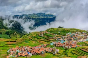 KODAIKANAL: Top Attractions │How to Reach Kodaikanal │Best Time to Visit Kodaikanal