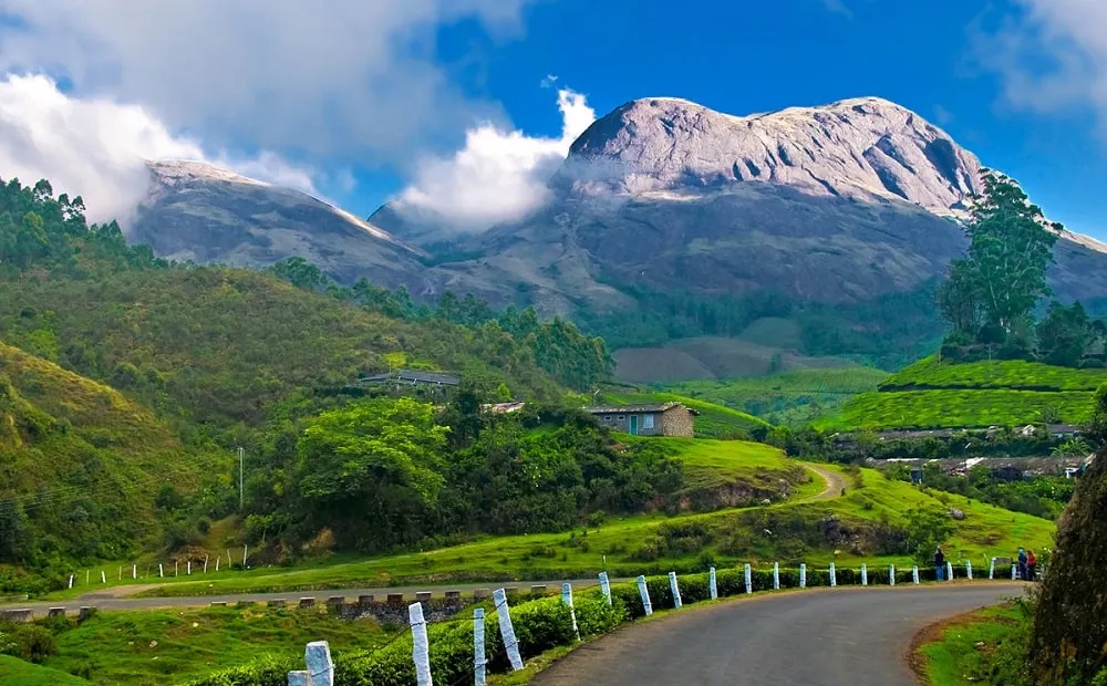 MUNNAR: Top Attractions │How to Reach Munnar │Best Time to Visit Munnar