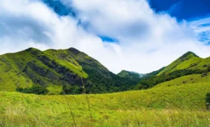 WAYANAD: Top Wayanad │How to Reach Wayanad│Best Time to Visit Wayanad