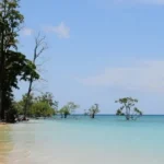 How Much Does Andaman Trip Cost