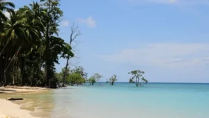 How Much Does Andaman Trip Cost