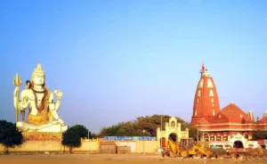Nageshwar Temple Pooja Rates