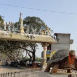 Srikurmam Temple Timings