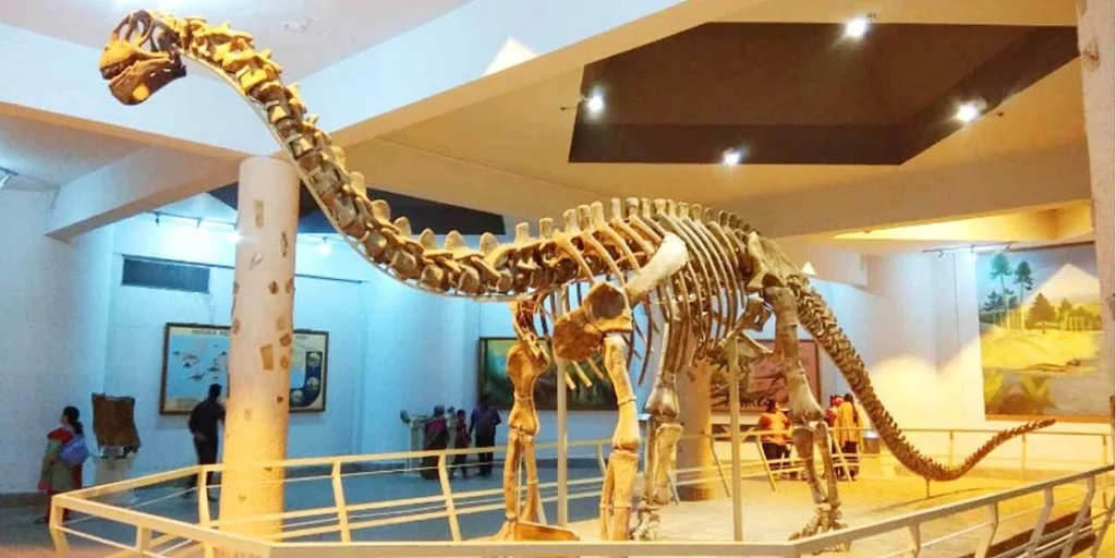 Birla Science Museum in Hyderabad - Timings, Entry Fee, Address, and What to See