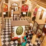 Image-Gallery-of-Albert-Hall-Museum-Jaipur_-India3